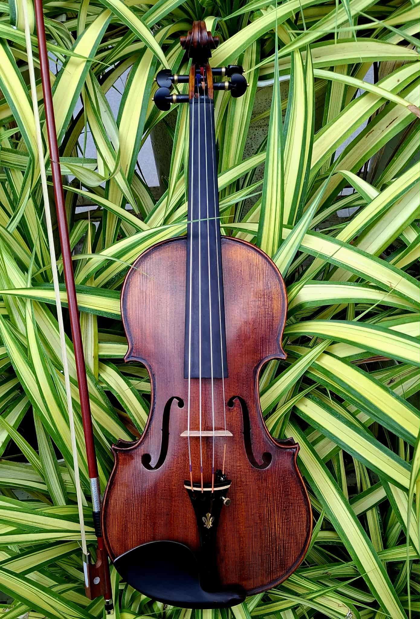 Red Clef IJ2 Handcrafted Violin - Image 5